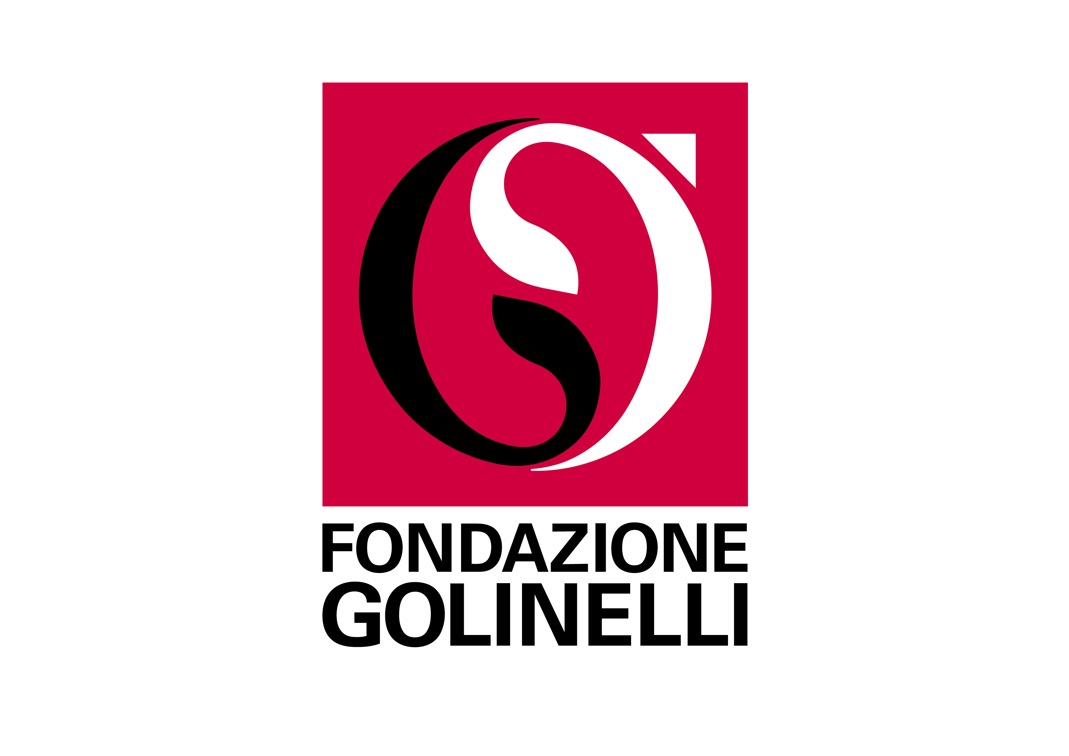 logo FMG