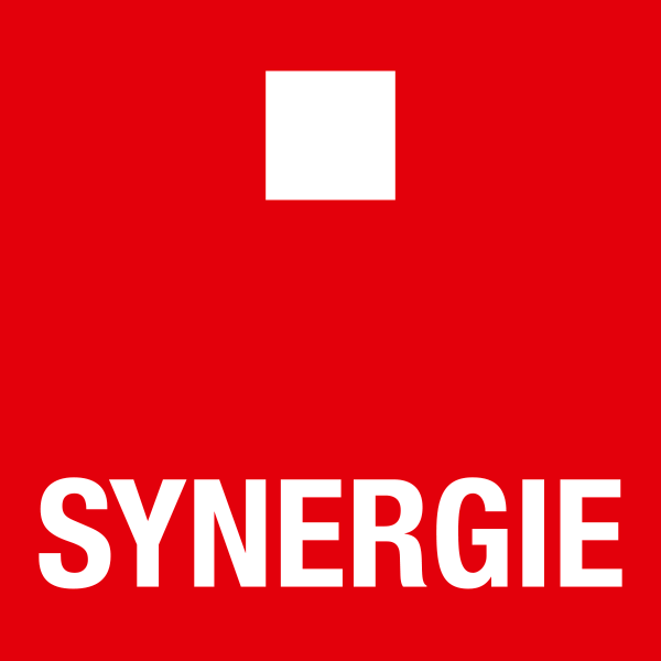 logo synergie